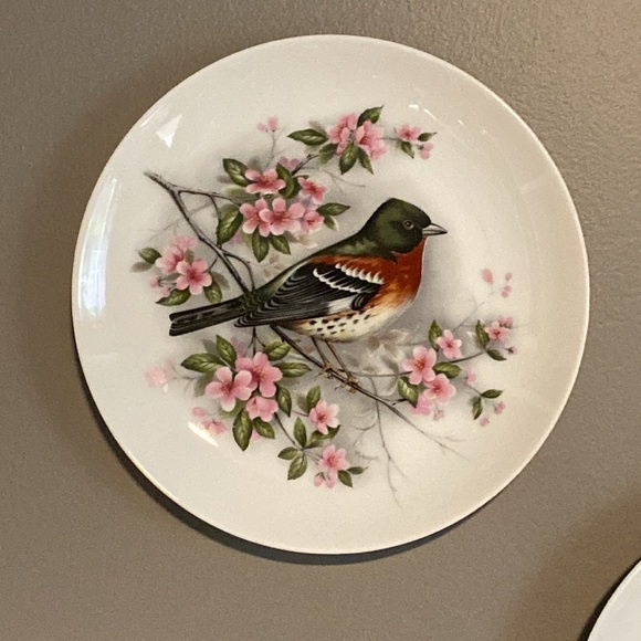 AK Kaiser porcelain, set of 2 decorative plates, bird collectibles - Picture 2 of 8
